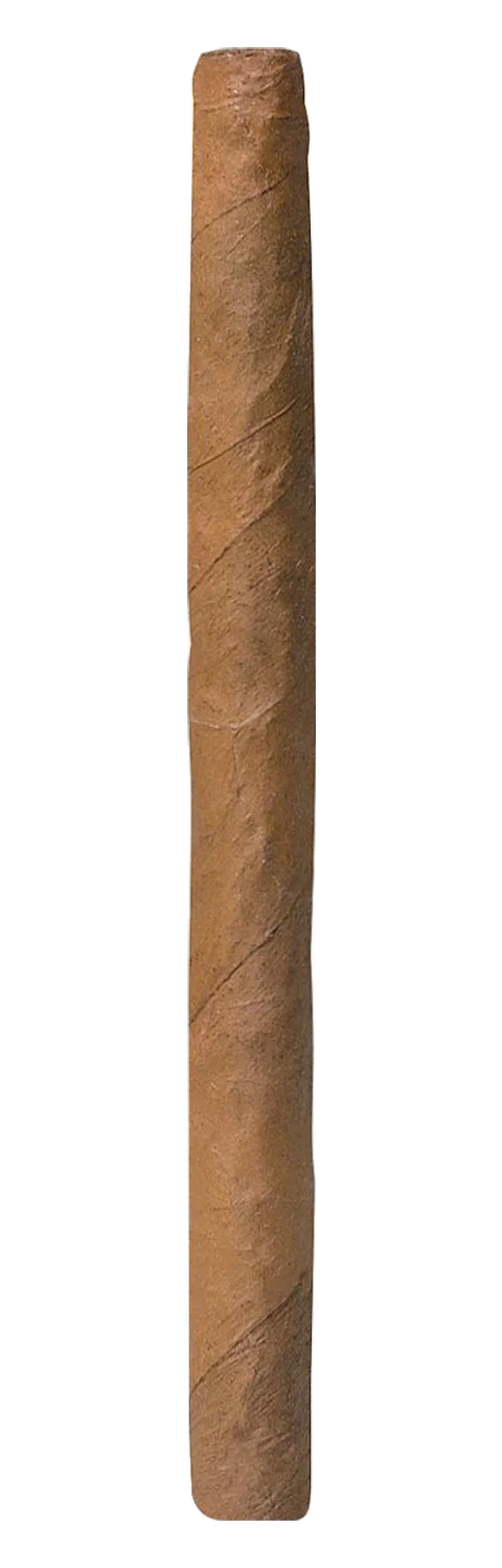 Woermann Dominican Bundles Señorita