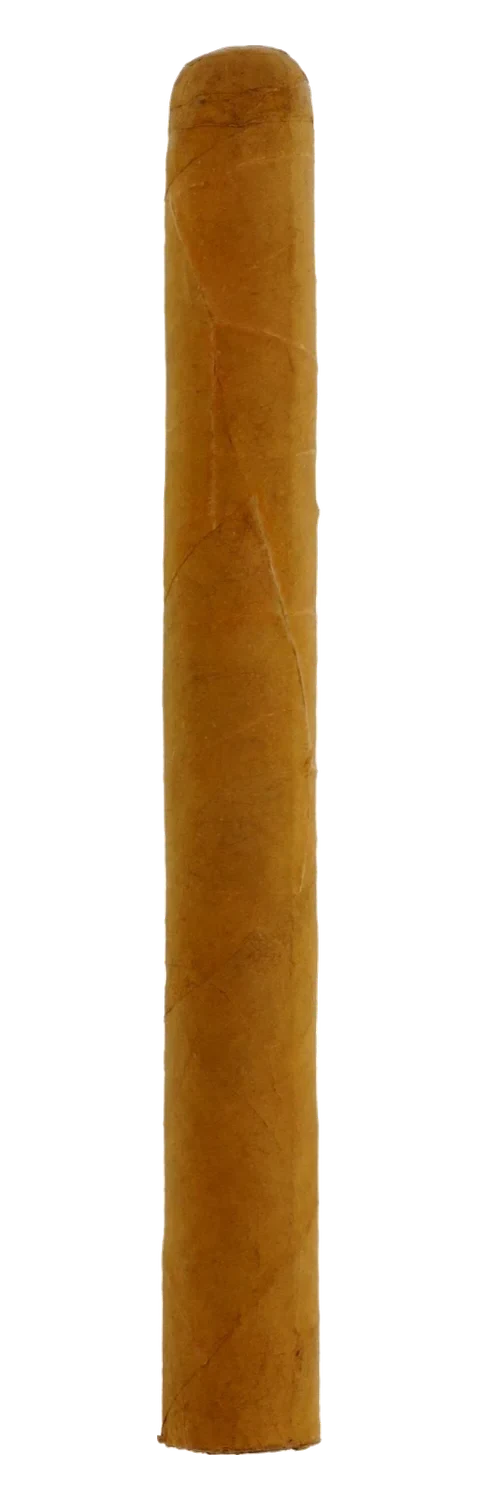 Woermann LF Dominican Churchill