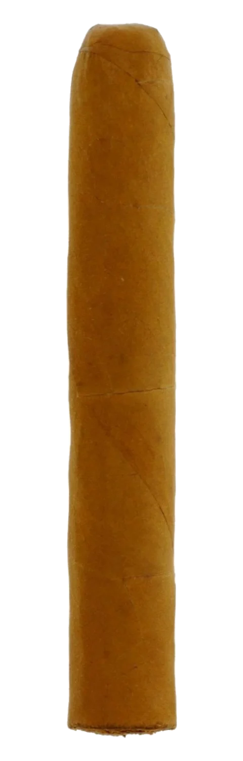 Woermann LF Dominican Perla