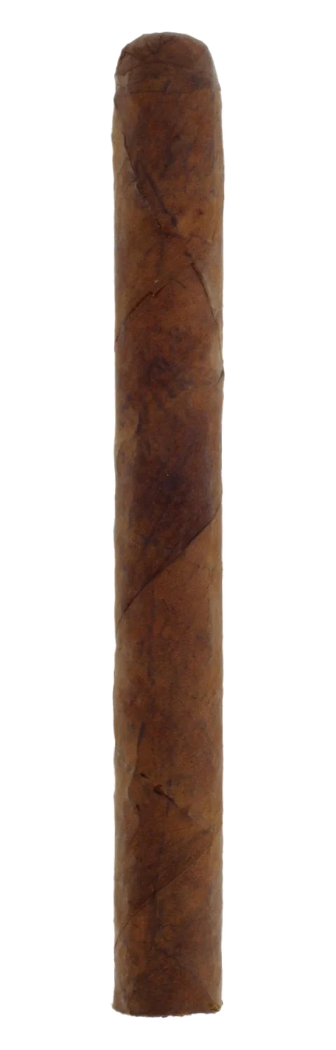 Woermann MF Maduro Churchill