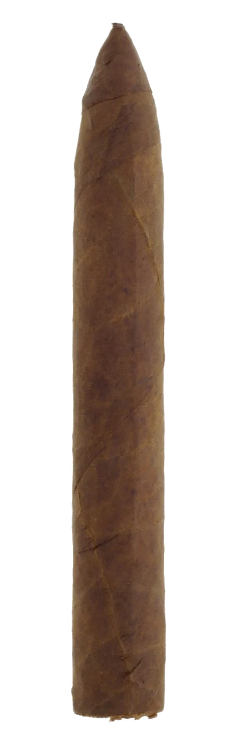 Woermann MF Maduro Torpedo