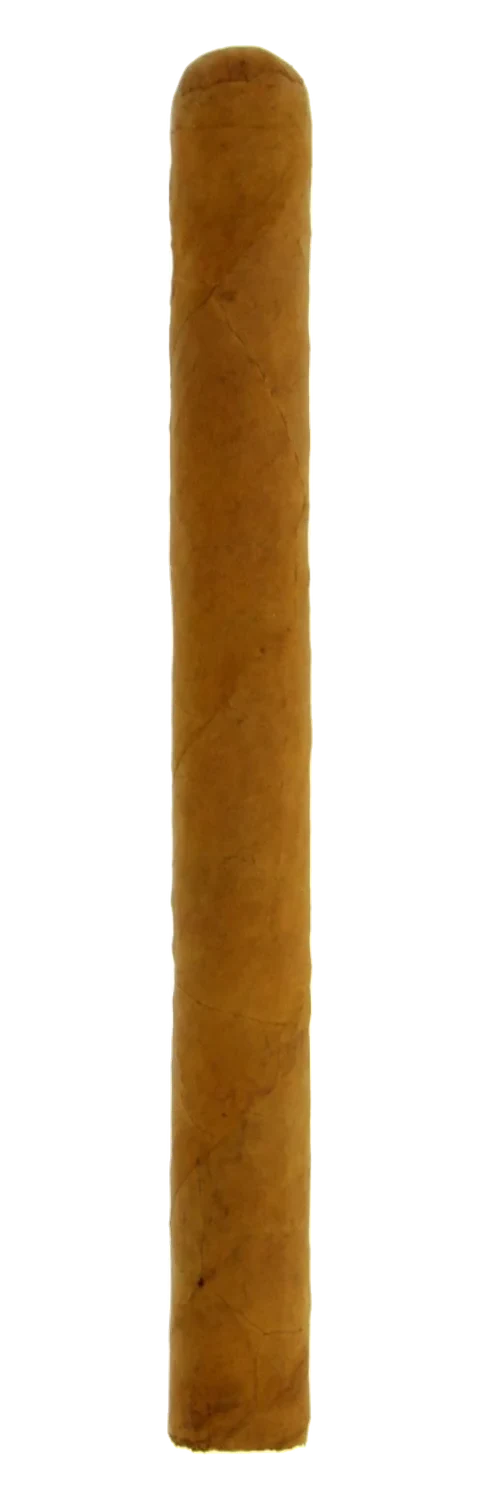 Woermann MF Red Presidente