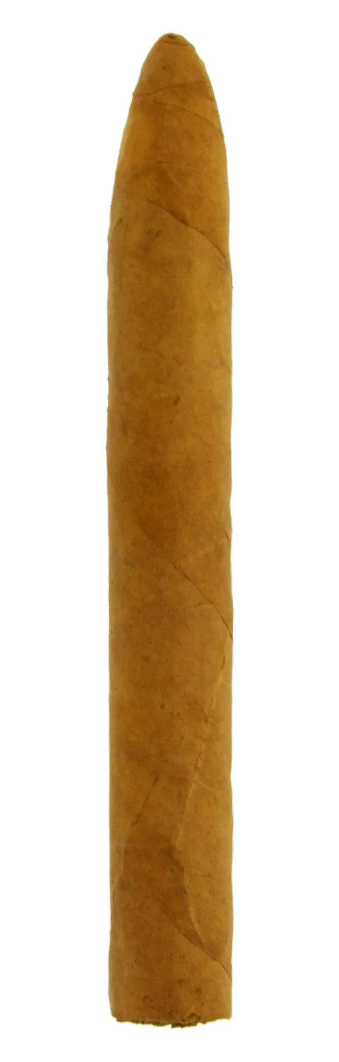 Woermann MF Red Torpedo