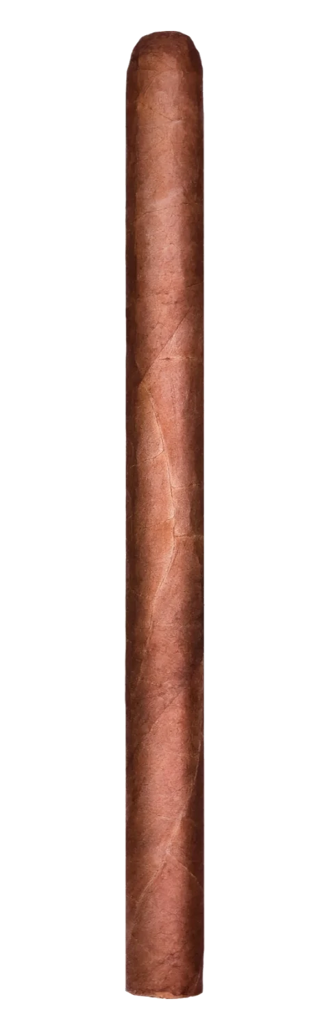Confidenciaal Lancero
