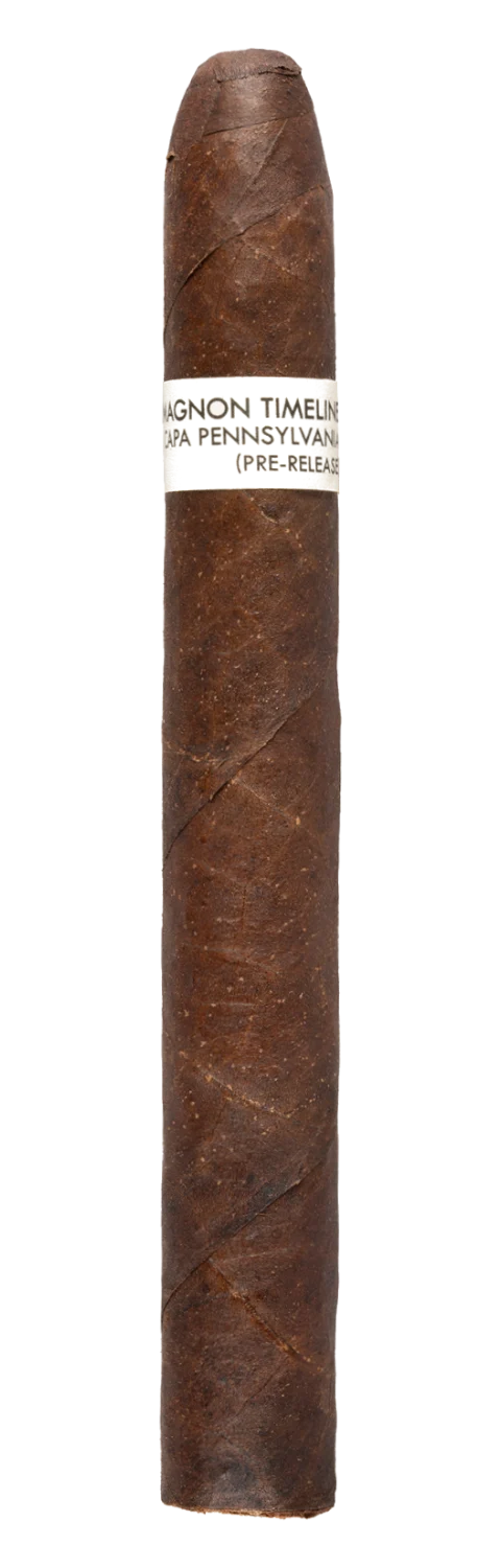 CroMagnon PA Timeline