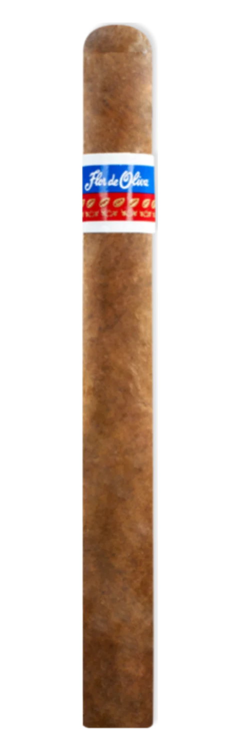 Flor de Oliva Gigante
