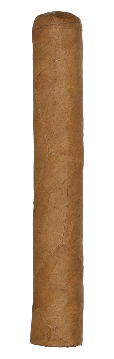 G.H. House Bundle Robusto Connecticut