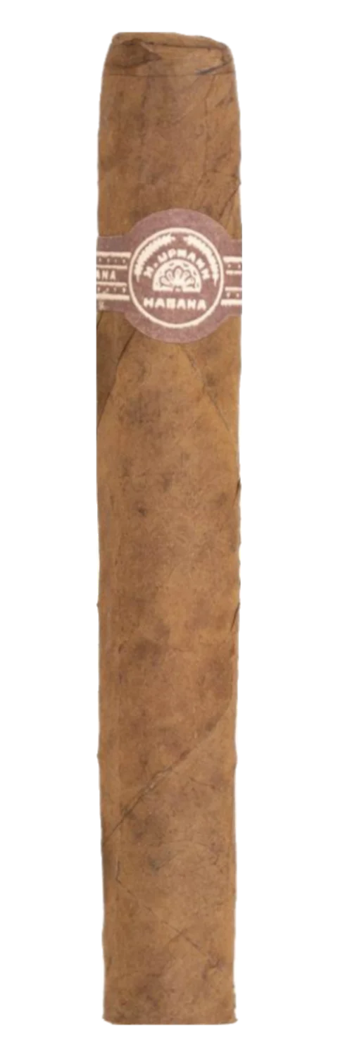 H. Upmann Petit Palatinos