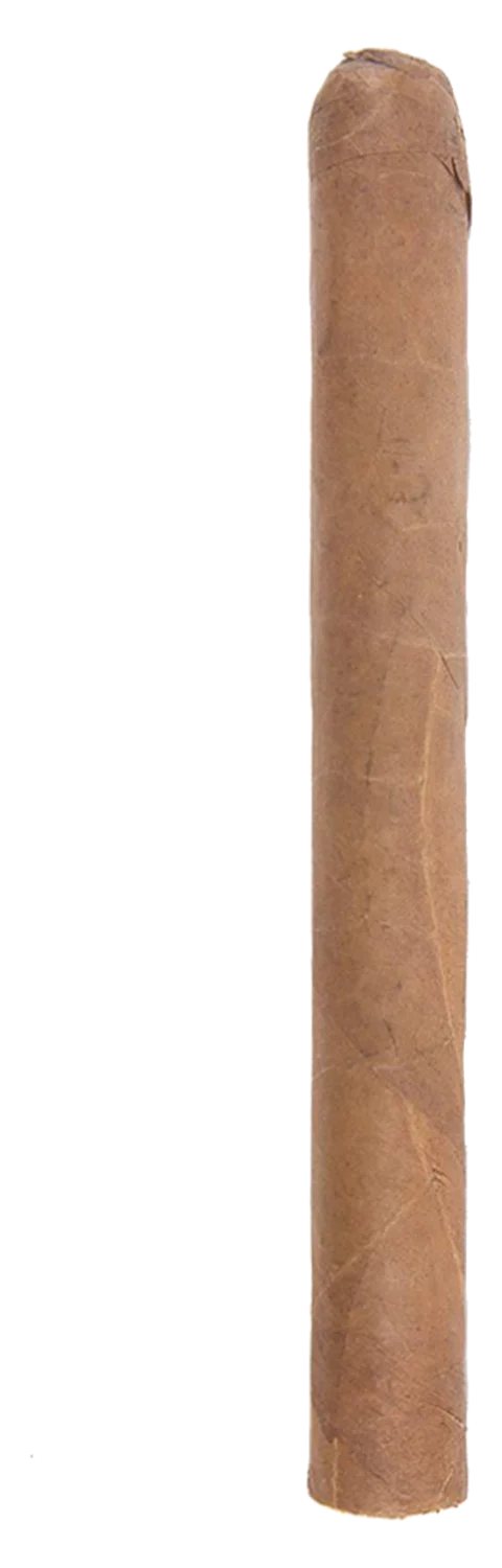 Hammer + Sickle LE14