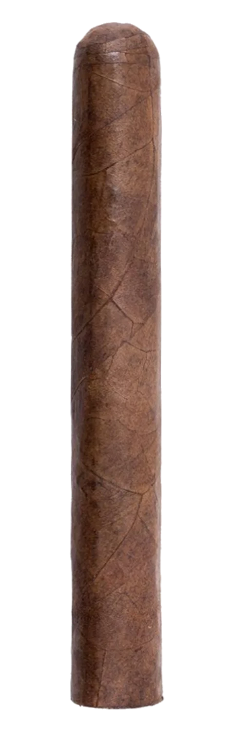 Illusione La Grande Classe Rex