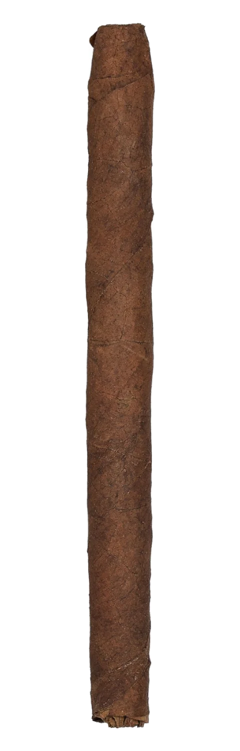 Kleinlagel Cigarillos Special No. 5 Brasil