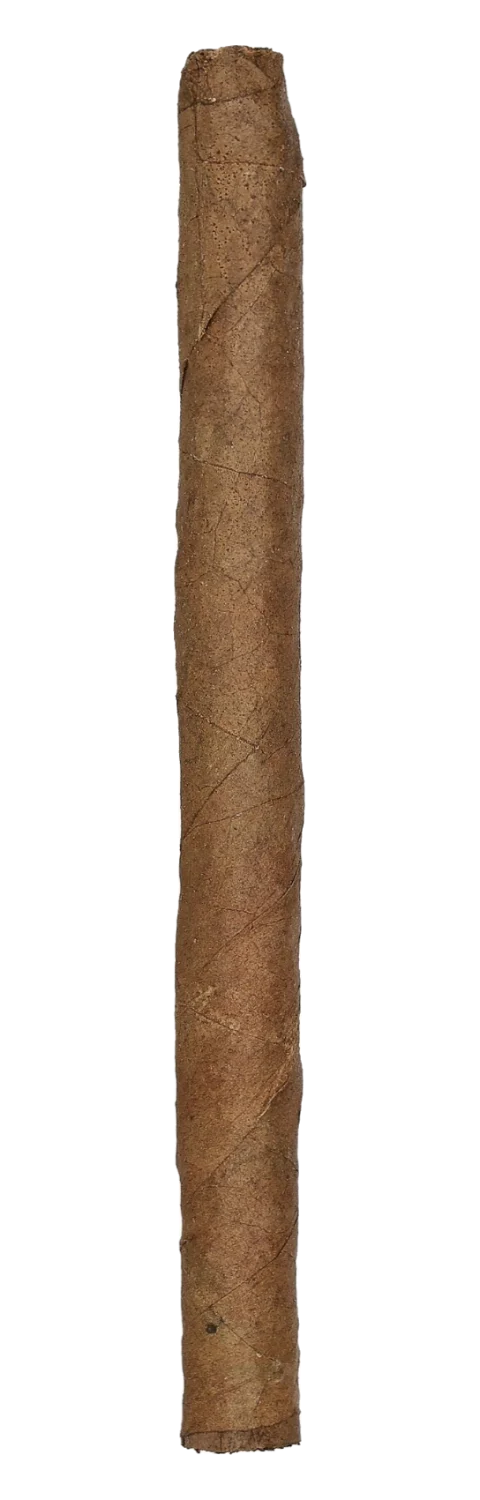 Kleinlagel Cigarillos Special No. 5 Sumatra