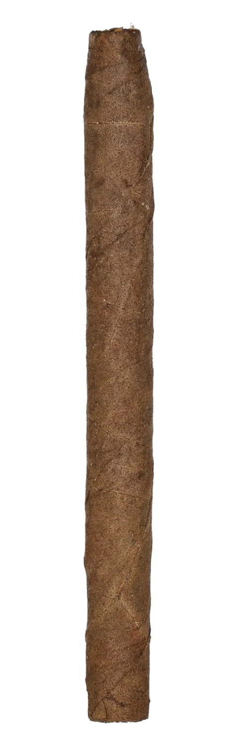 Kleinlagel Cigarillos Special No. 6 Sumatra