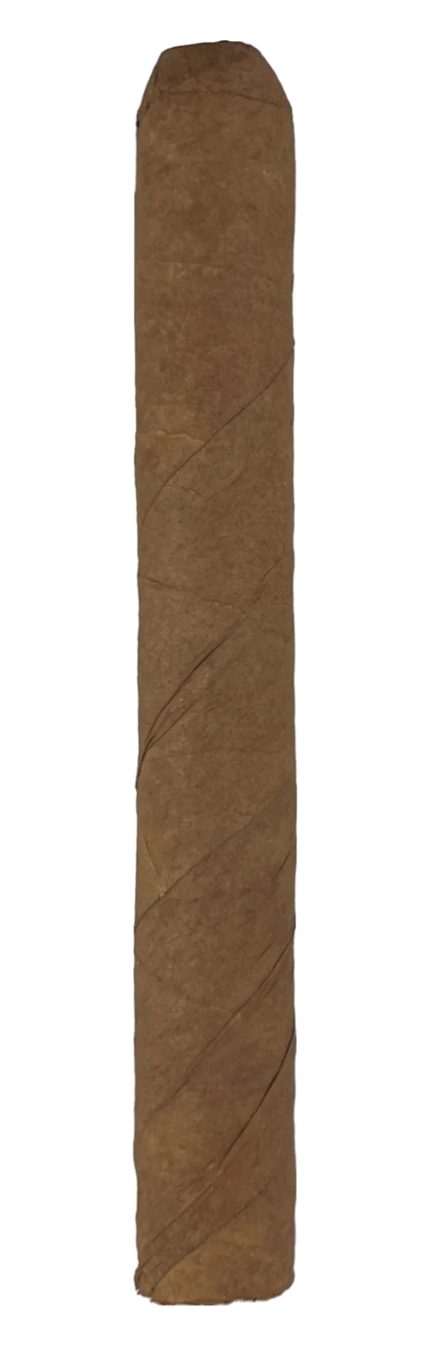 Kleinlagel Fehlfarben Hausmarke Corona Sumatra