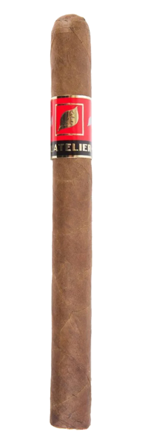 L'Atelier Extension de la Racine ER15