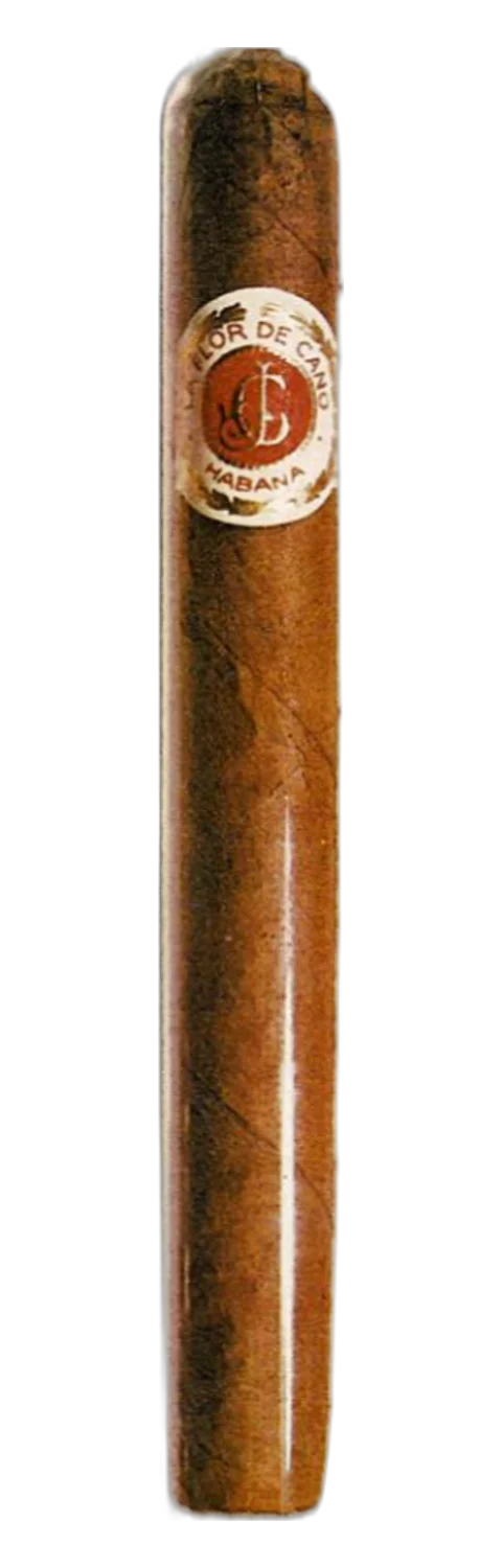 La Flor de Cano Cristales