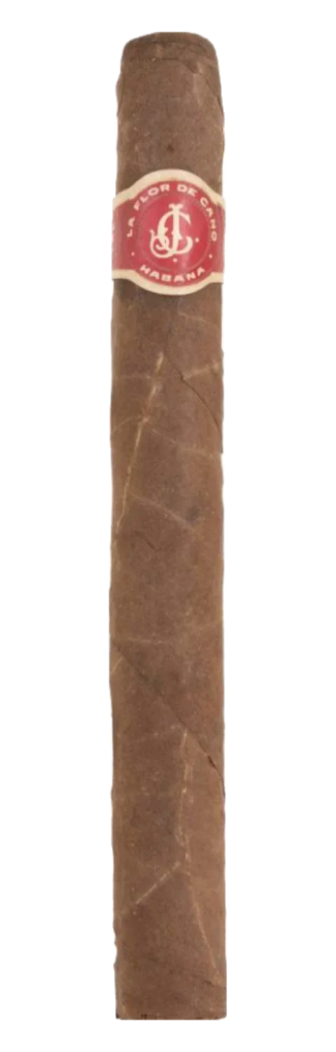 La Flor de Cano Diademas