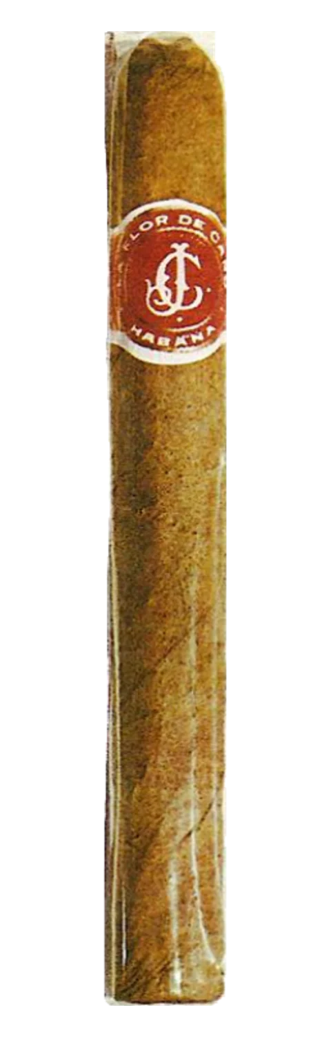 La Flor de Cano Iberos