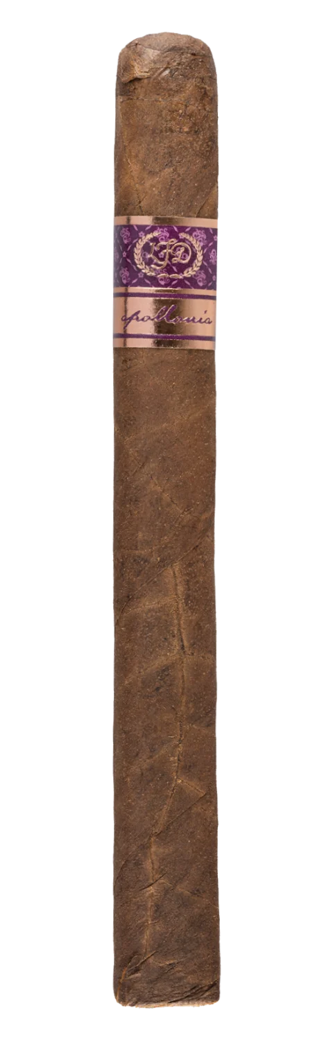 La Flor Dominicana Apollonia