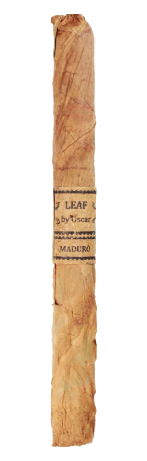Leaf by Oscar Maduro Lancero