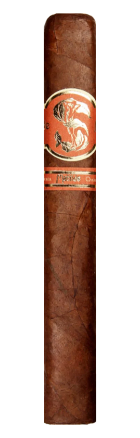 Matilde Quadrata Toro Bravo