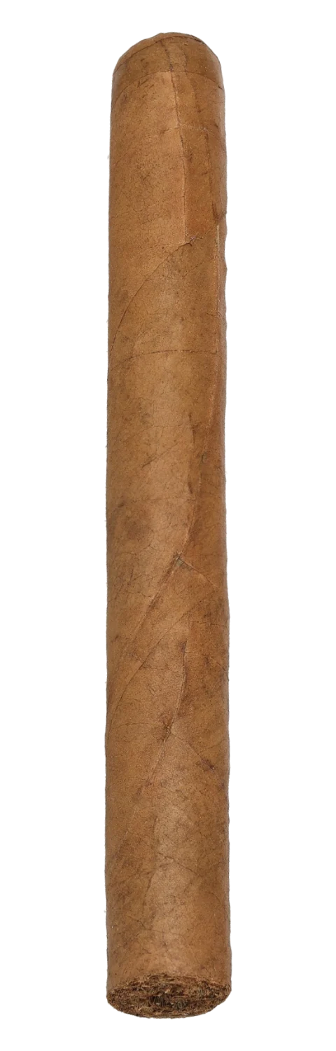 Meine Longfiller Bundles Corona