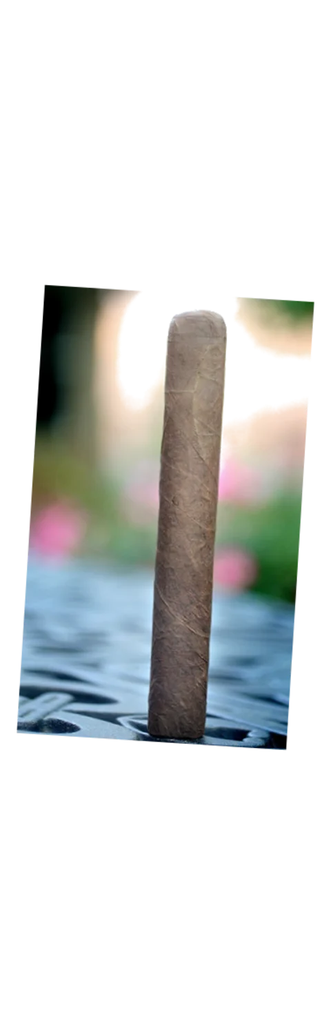 My Father Flor de las Antillas Toro