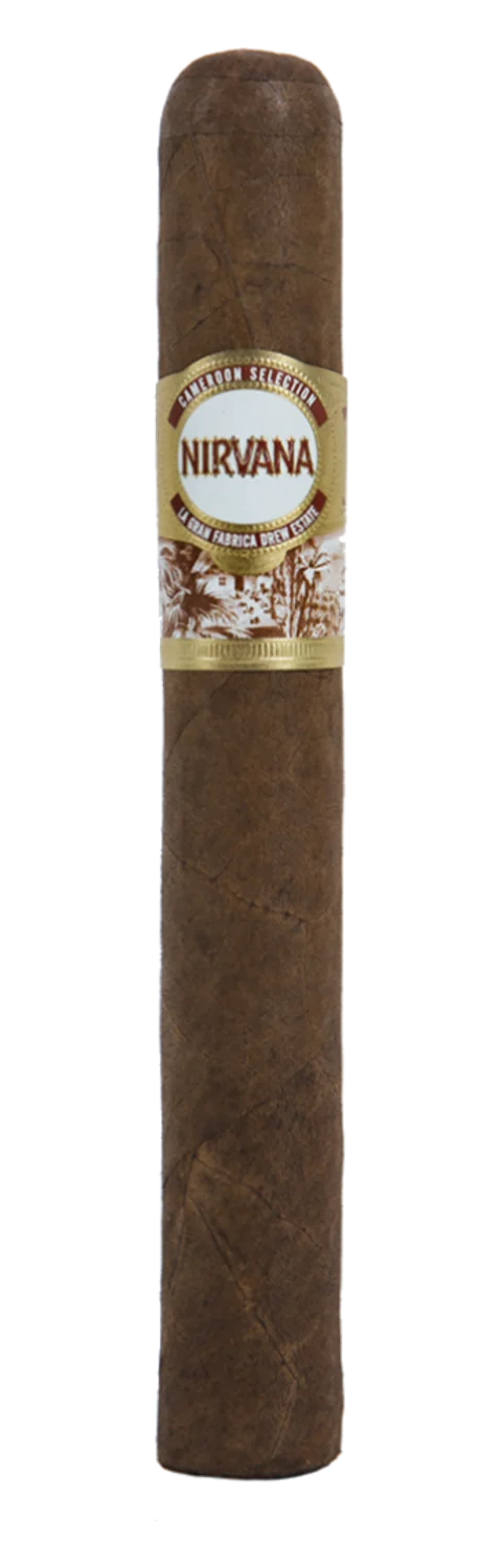 Nirvana Toro