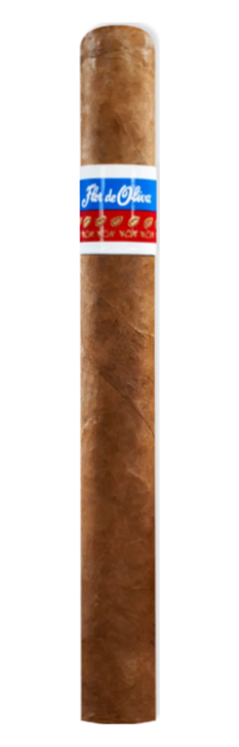 Oliva Flor de Oliva Churchill