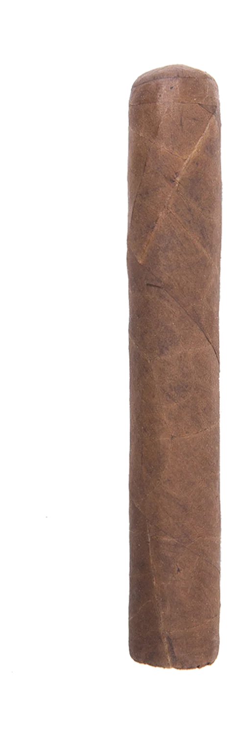 Padilla Cava 550