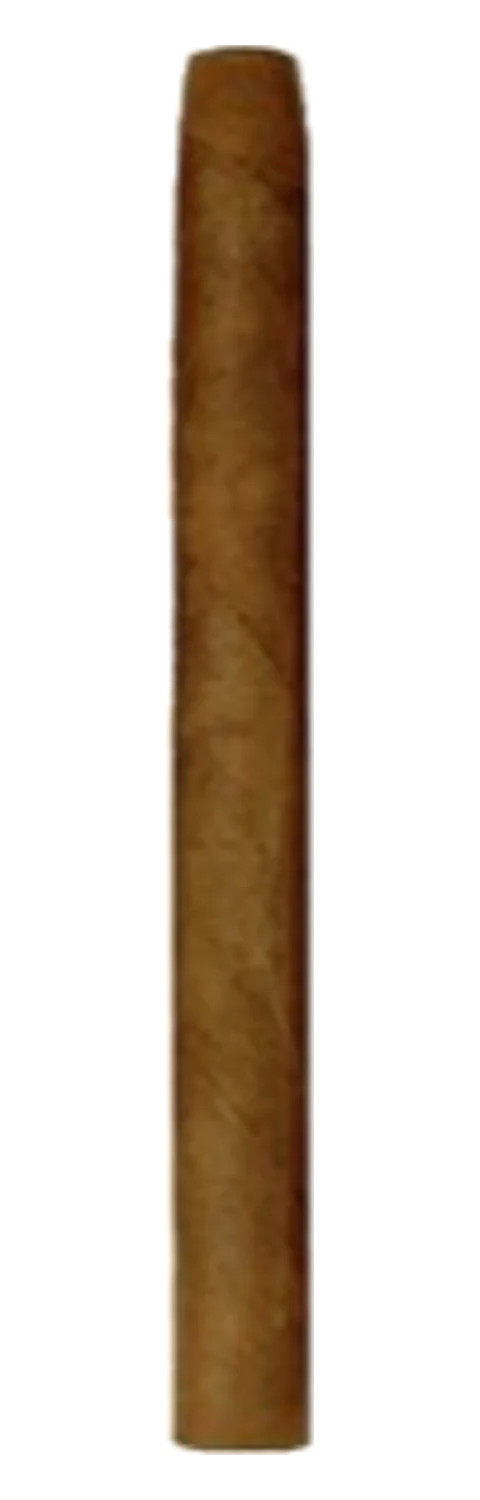 Partageno Cigarillos Señorita Caribic (3450C)