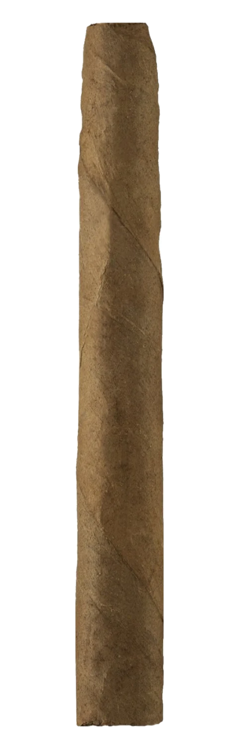 Partageno Cigarillos Señorita Sumatra (3450S)