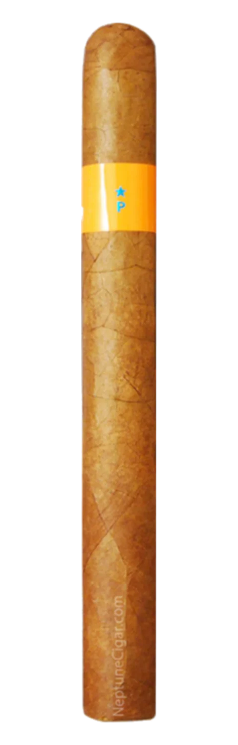 Patoro Serie P Churchill
