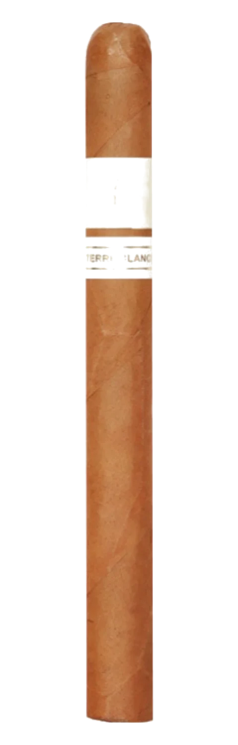 Patoro Terre Blanche Lancero