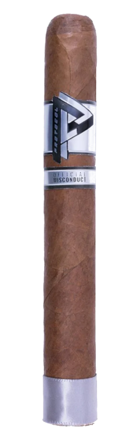 Protocol Official Misconduct