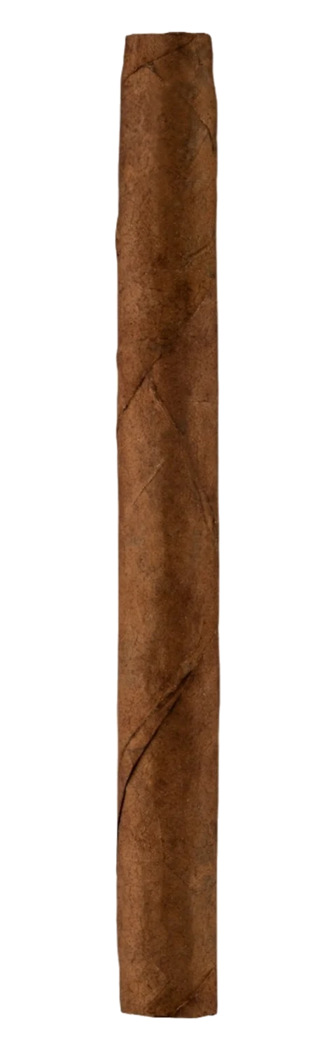 Puck Sumatra
