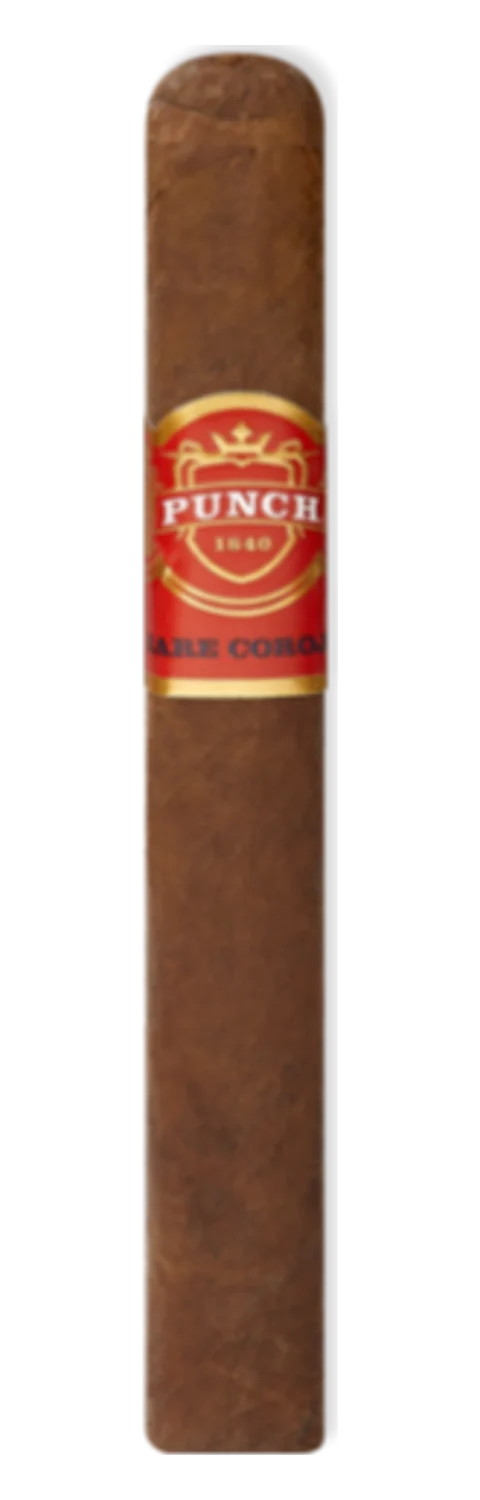 Punch (Honduras) Punch Rare Corojo Elites