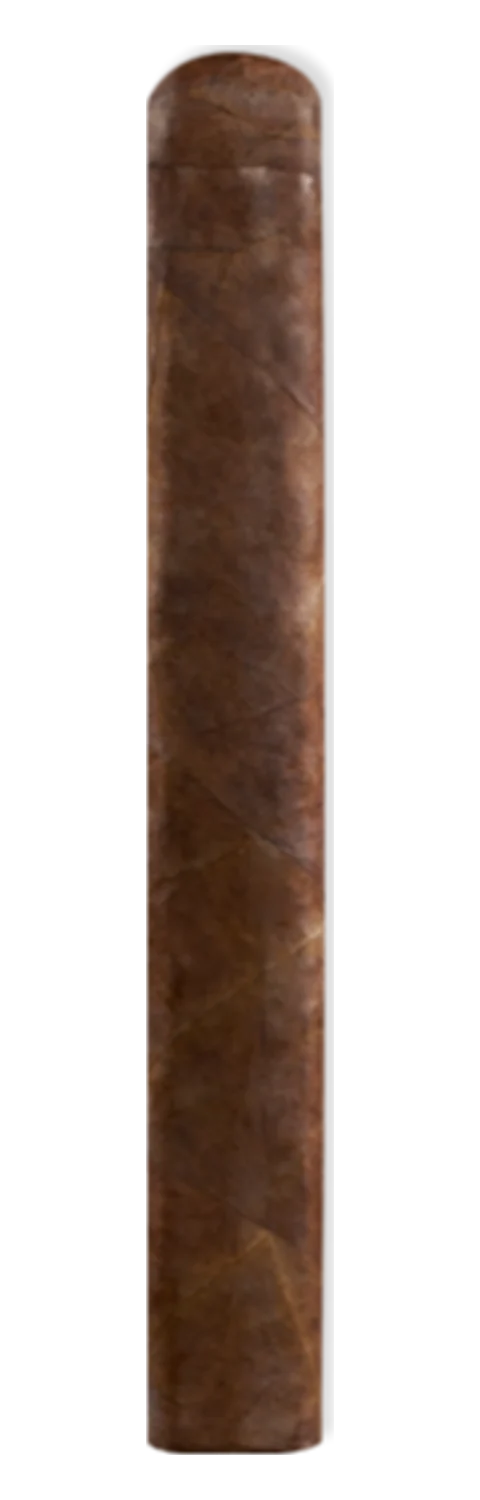 Rocky Patel Vintage 1990 Robusto