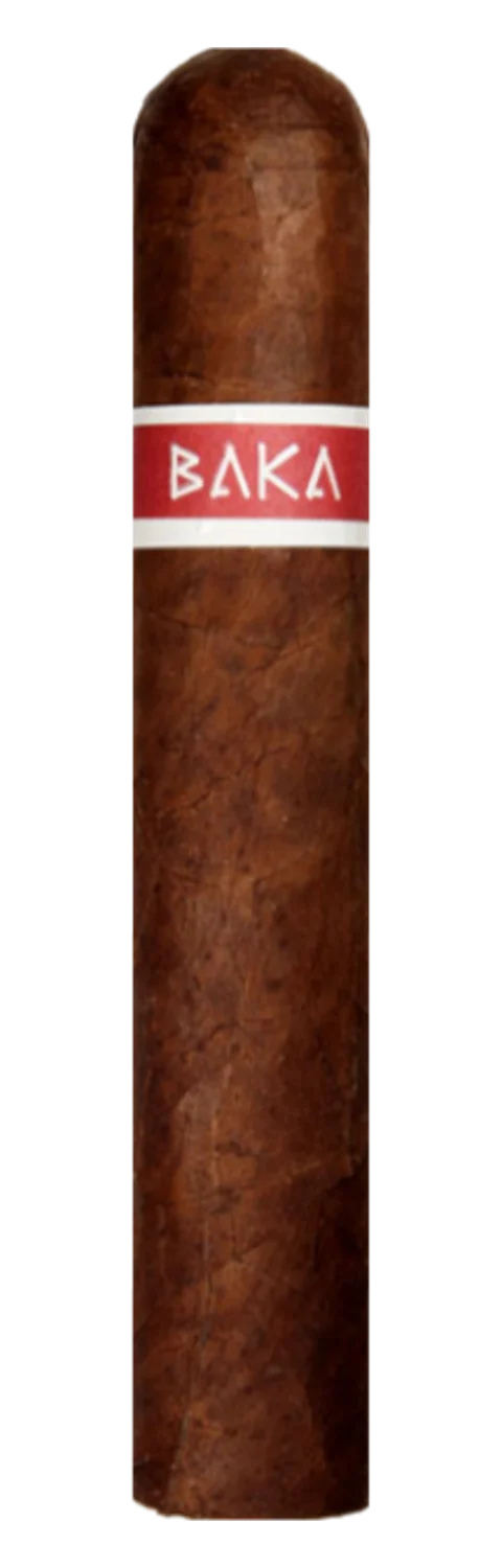 RoMa Craft Baka Acephalous