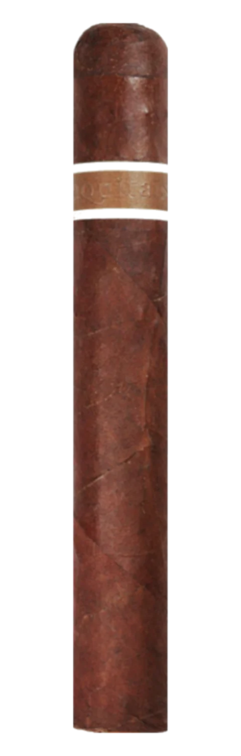 RoMa Craft CroMagnon Aquitaine Cranium