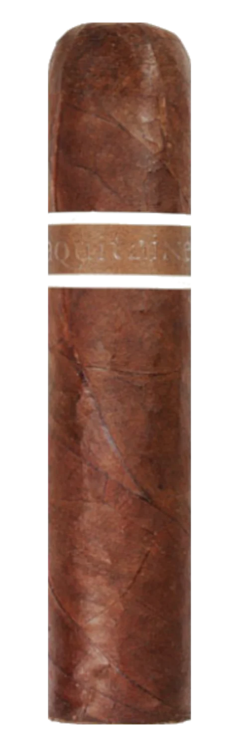 RoMa Craft CroMagnon Aquitaine Mandible