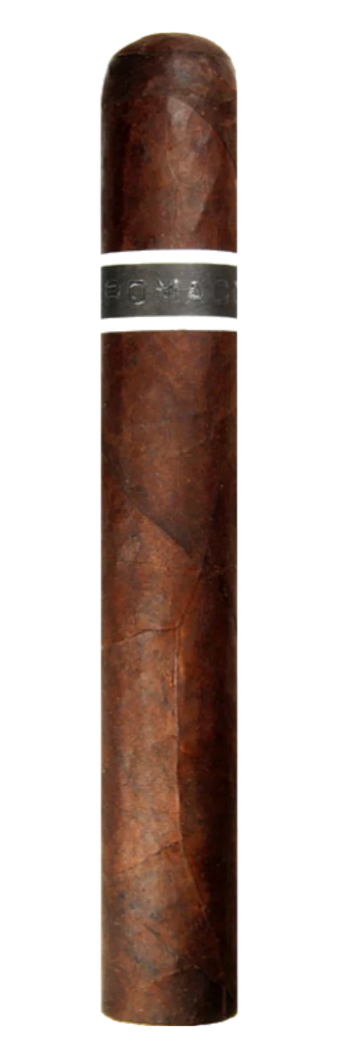 RoMa Craft CroMagnon Cranium