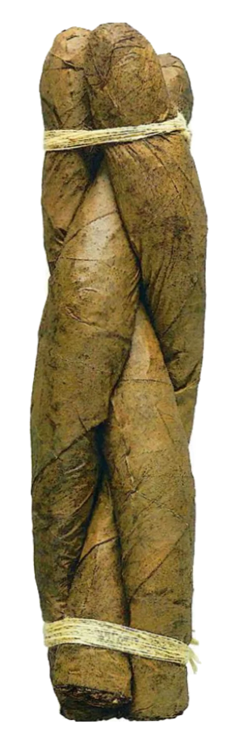 Romeo y Julieta Culebras