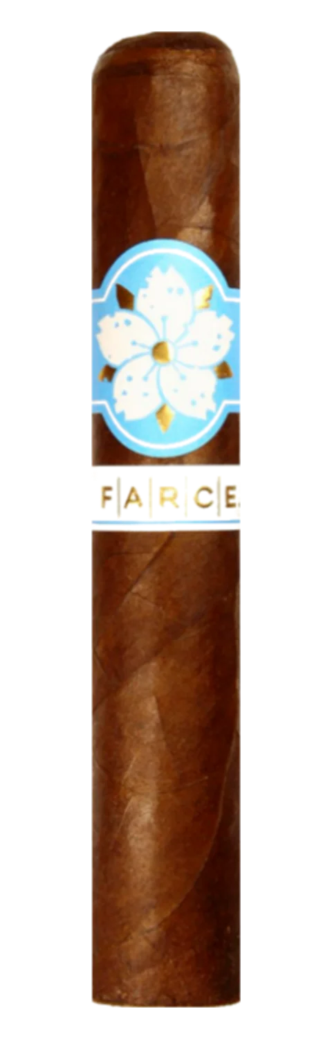 Room 101 The Farce Nicaragua Gordo
