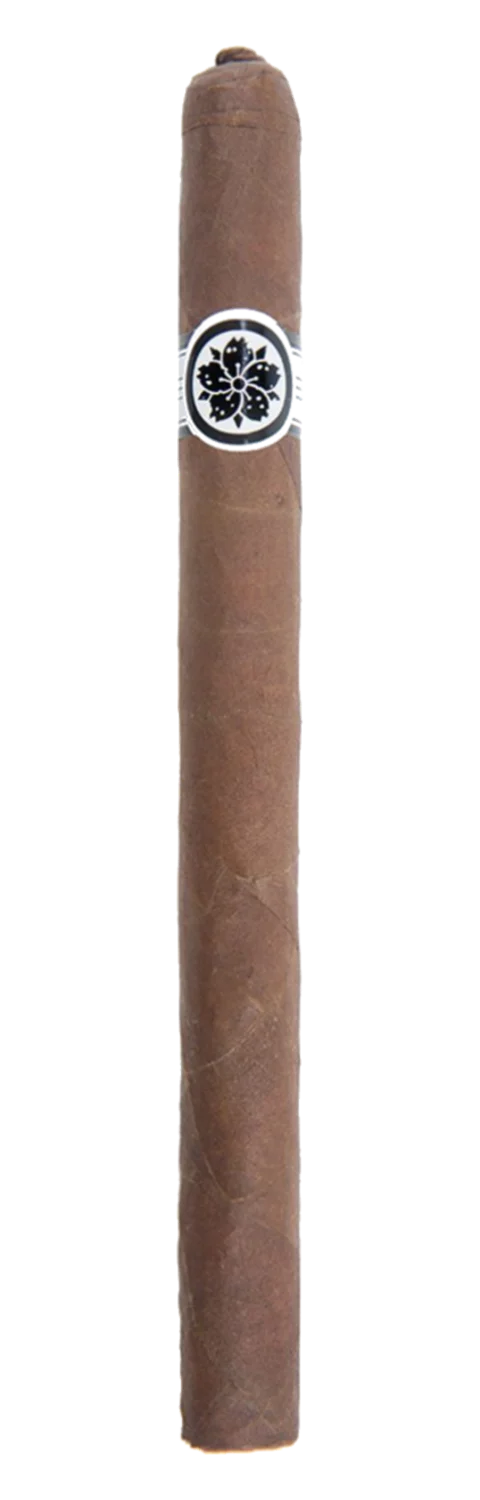 Room 101 Master Collection Three Mutante