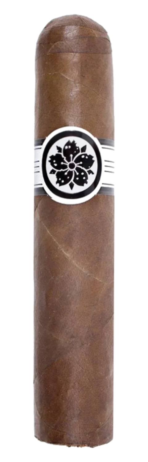 Room 101 Master Collection Three Roxxo