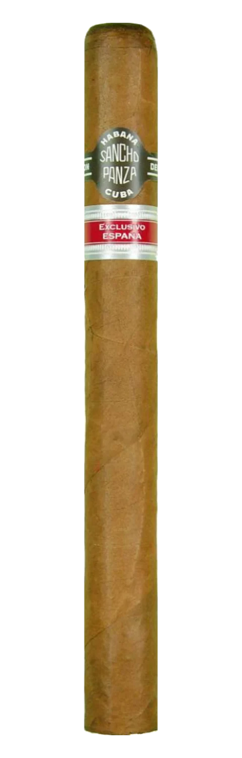 Sancho Panza E.R. Espana Quijote