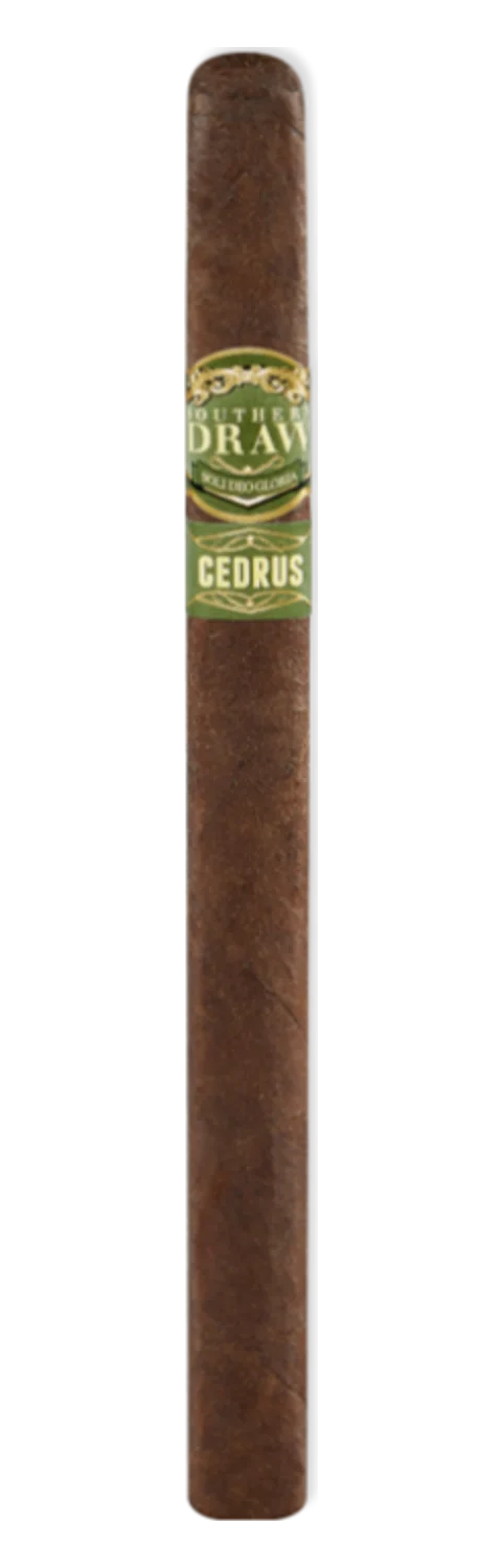 Southern Draw Cedrus Lancero