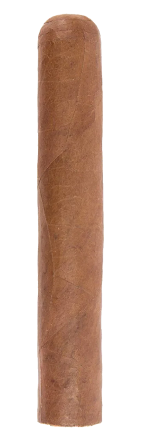 Tatuaje L’Espirit de Vérité
