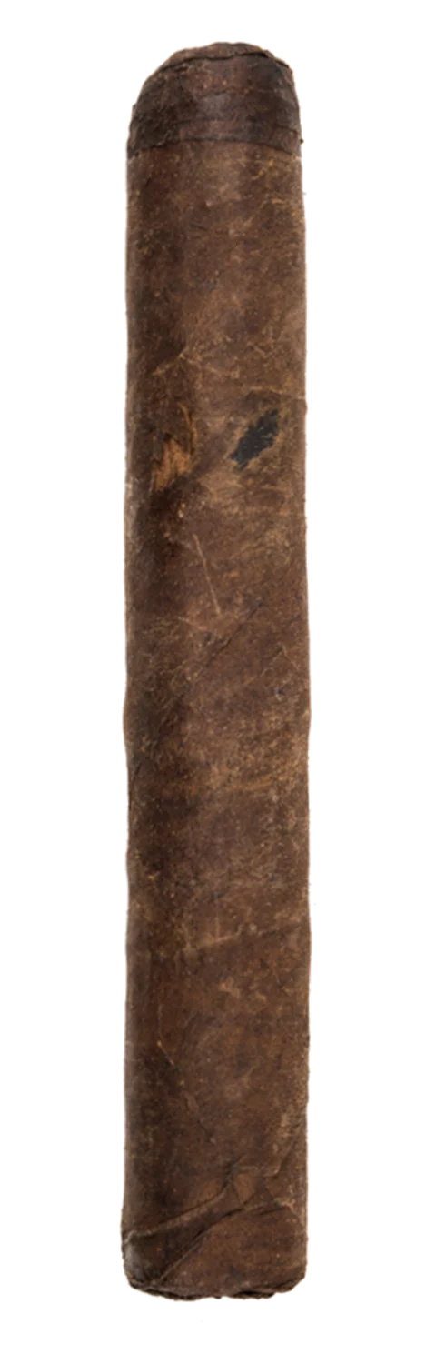 Tatuaje Little Hassell